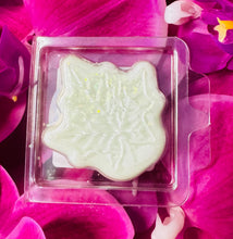 Load image into Gallery viewer, Hello Autumn Individual Soy Melts