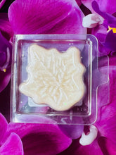 Load image into Gallery viewer, Hello Autumn Individual Soy Melts