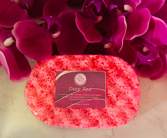 Exfoliating Soap Sponges