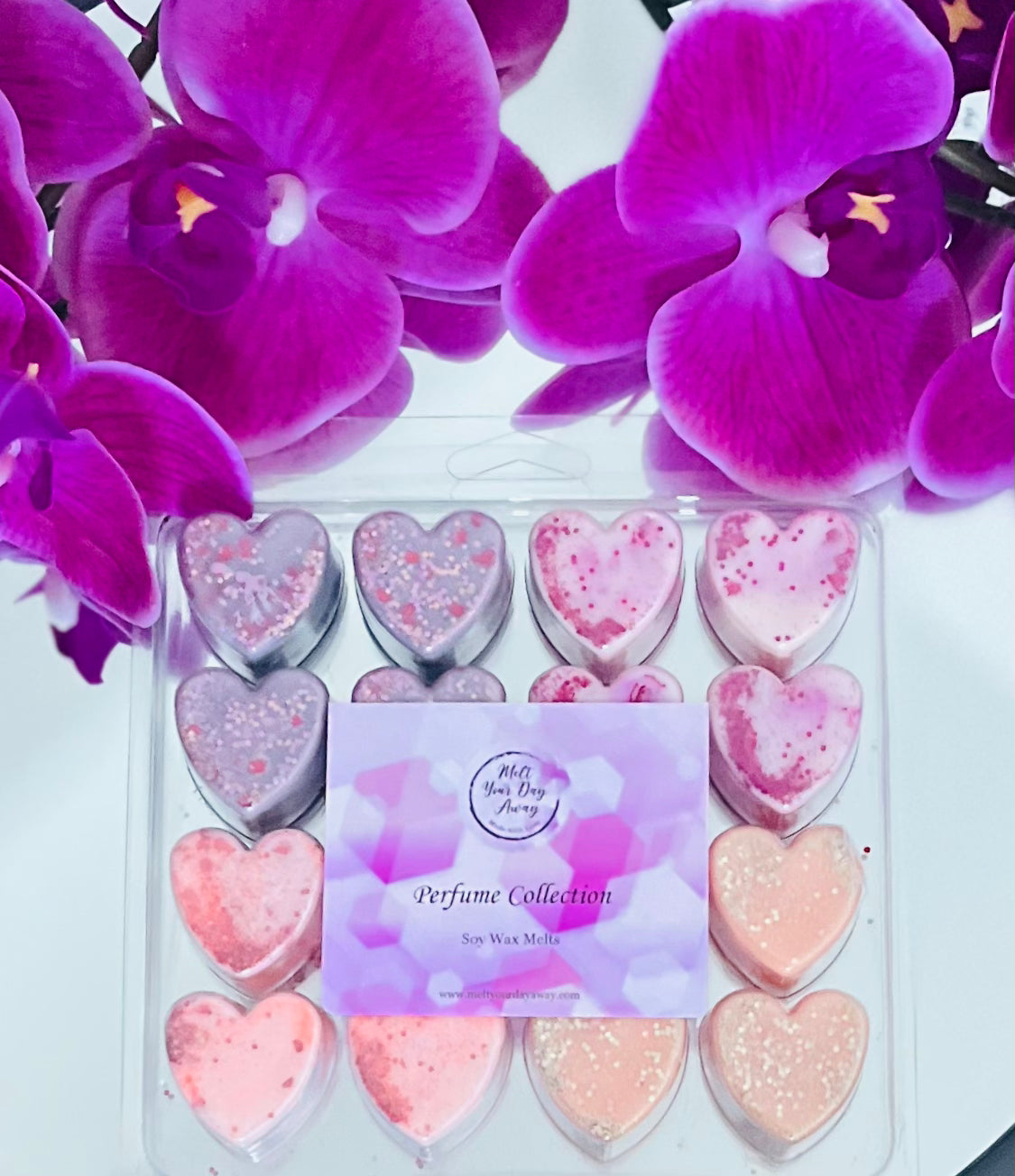 16 Concha de Corazón - Colección de Perfumes